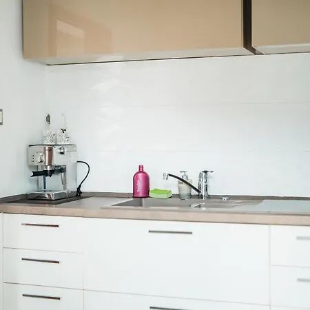 Black Sea Centre By Flat Manаger 公寓